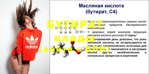 шишки Бердск