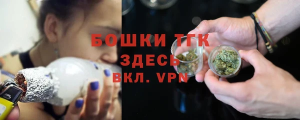 хмурый Гусь-Хрустальный