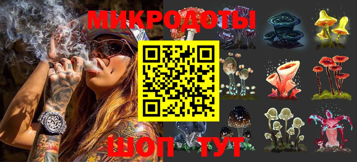 Псилоцибиновые грибы мицелий Добрянка
